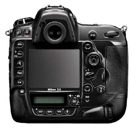 http://avaxhome.ws/blogs/dark_wolf